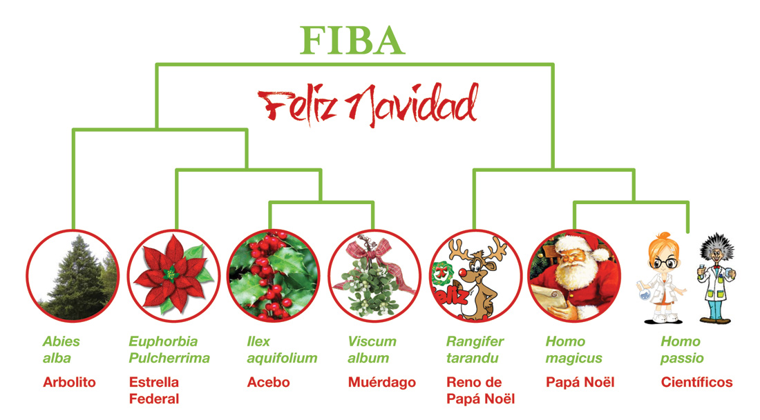 fibaxmas