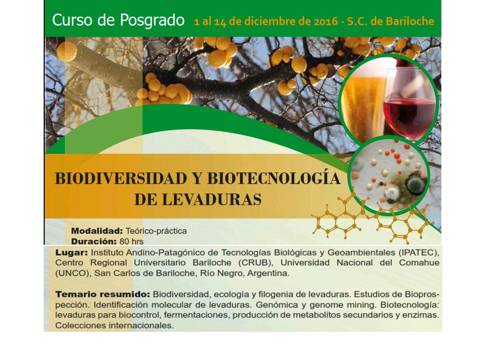 Curso LEVADURAS 1