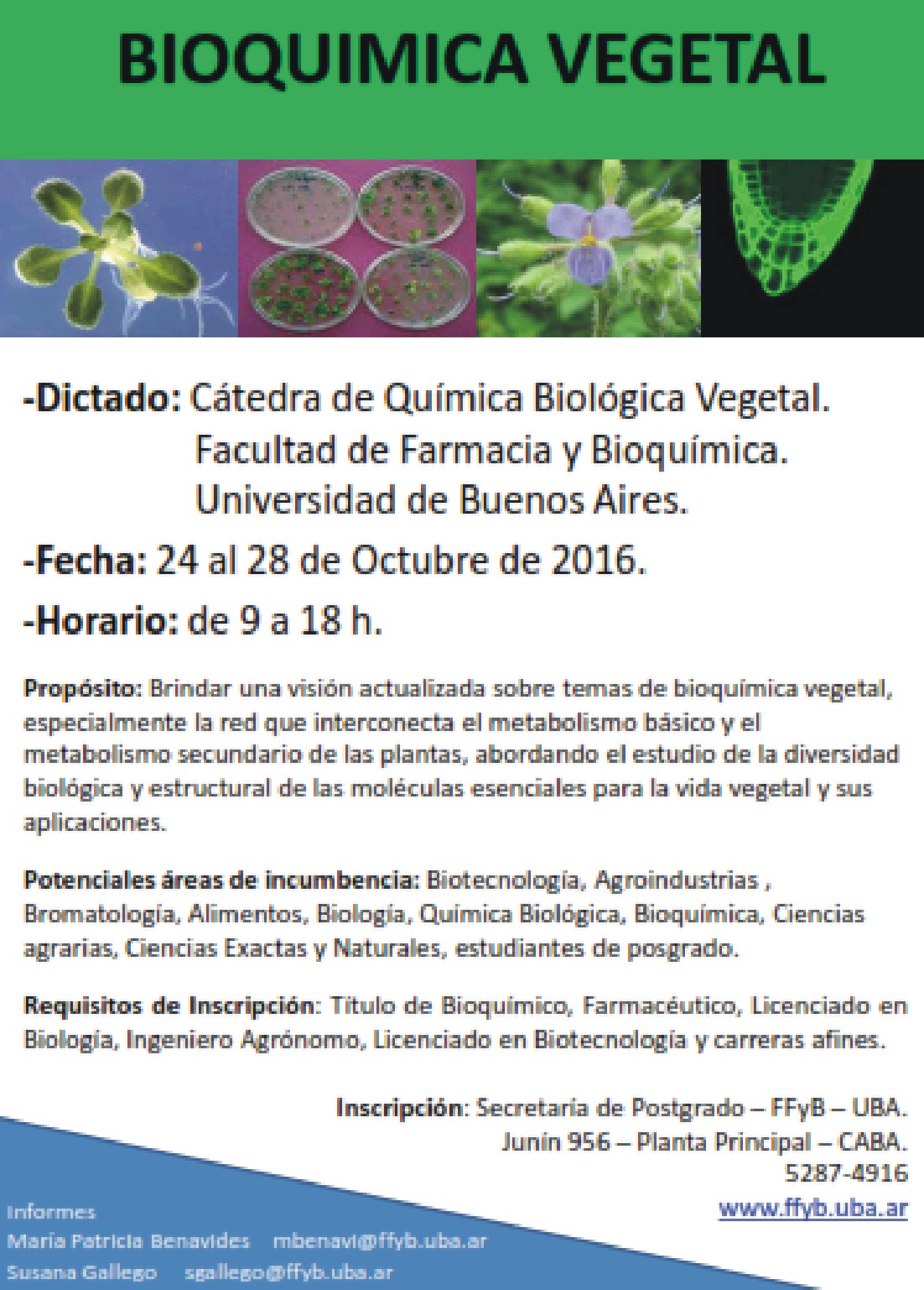 grafico1